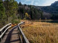 Morgensonne am Seesteg beim Frillensee